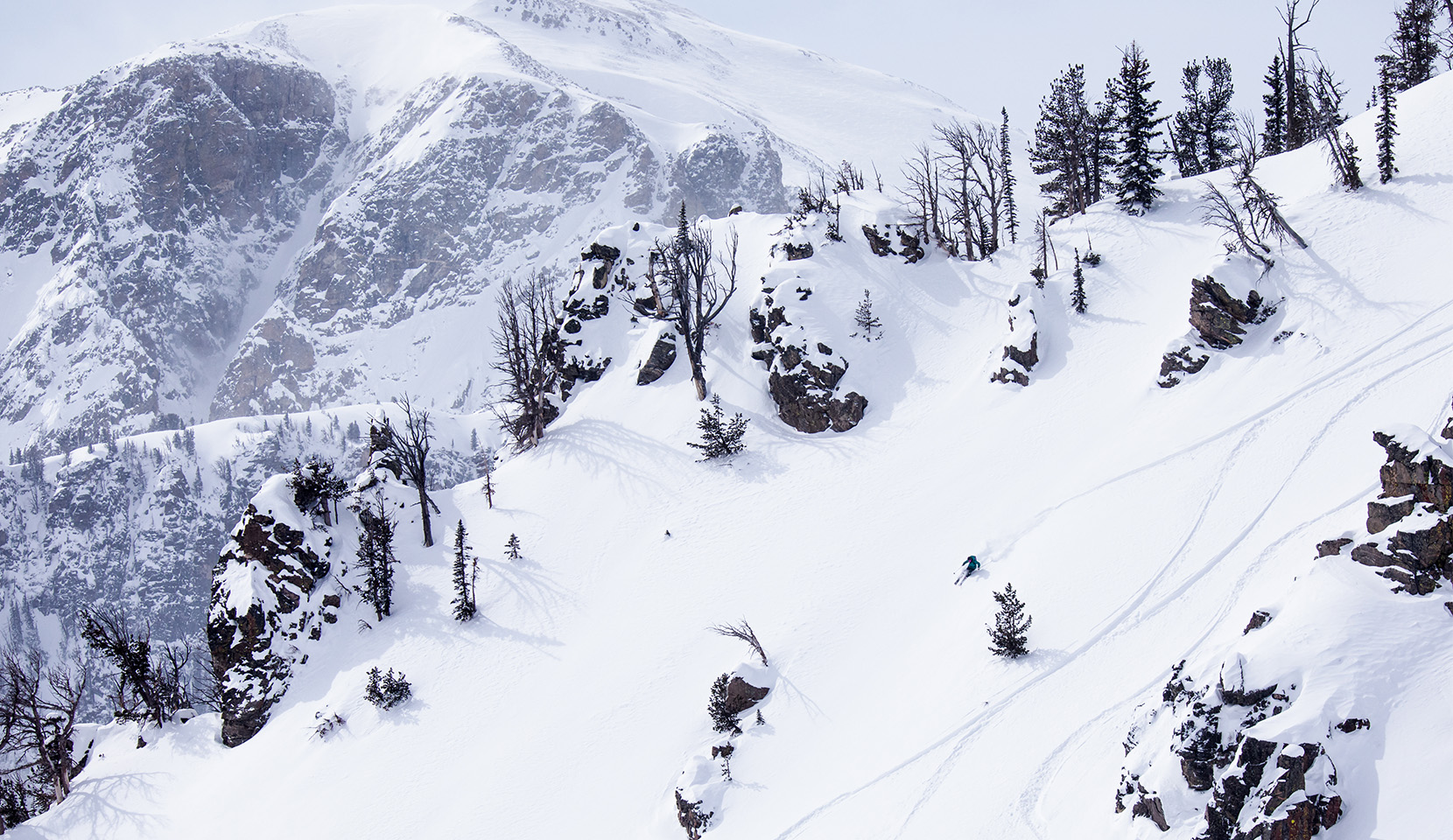 Header marque