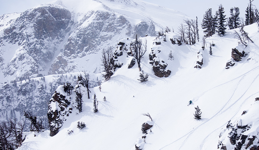Header marque